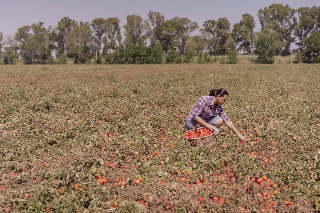family farming in italy produce
