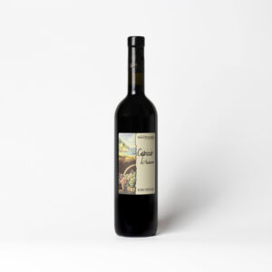 Sant'Andrea Rosso Novello Capriccio d’Autunno 2023 Wine - Merlot