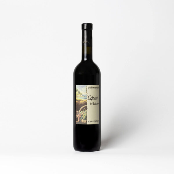 Sant'Andrea Rosso Novello Capriccio d’Autunno 2023 Wine - Merlot