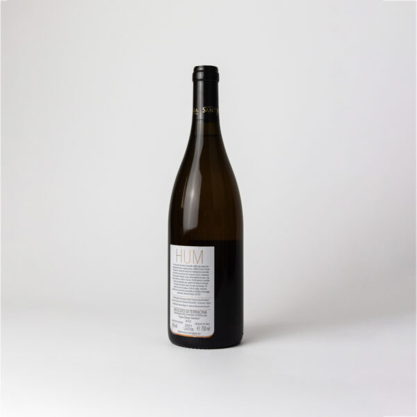 Sant'Andrea HUM SECCO 2021 Wine - 100% Moscato di Terracina - Image 3