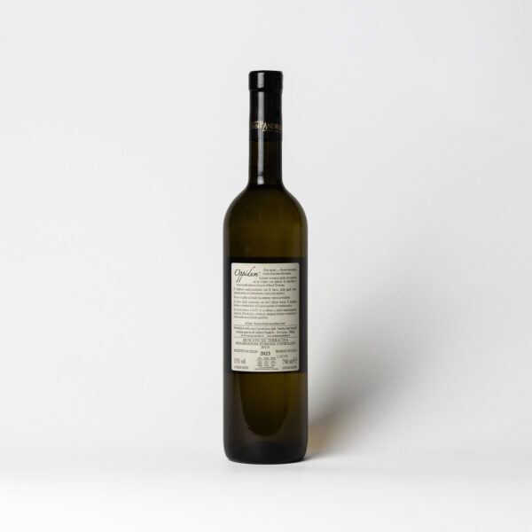 Sant'Andrea Terracina Secco Oppidum 2023 Wine - Moscato - Image 2
